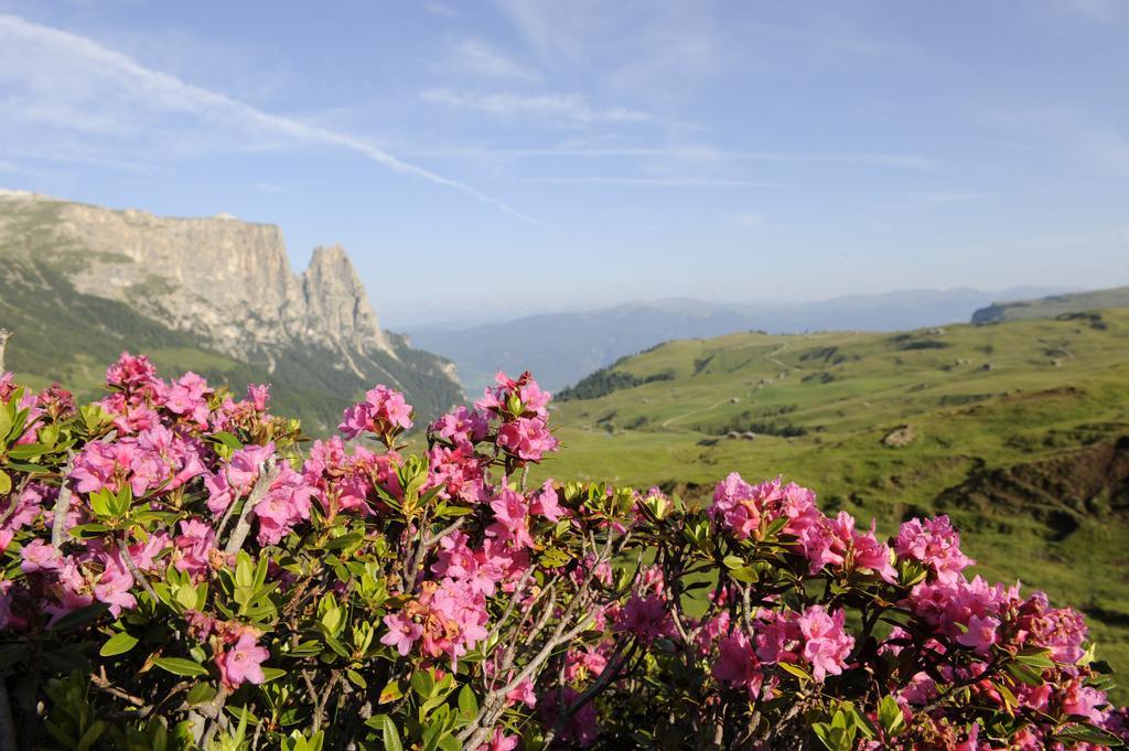 Apartment Sella Alpe di Alpe di Siusi Extérieur photo